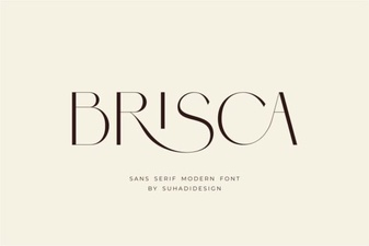 The Brisca Font: a Modern Calligraphy Design Resource